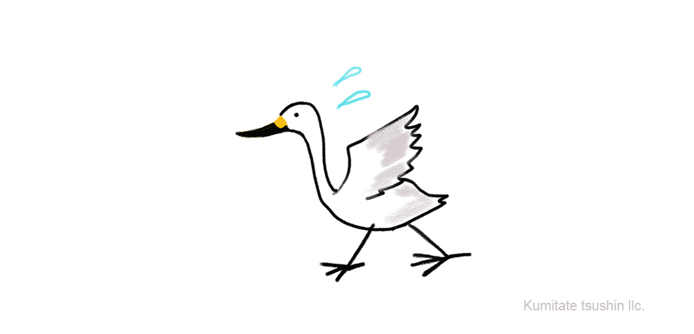 アンデルセン　白鳥のイラスト　絵のない絵本